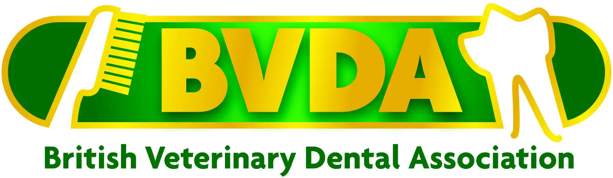 BVDA Feline dental Course